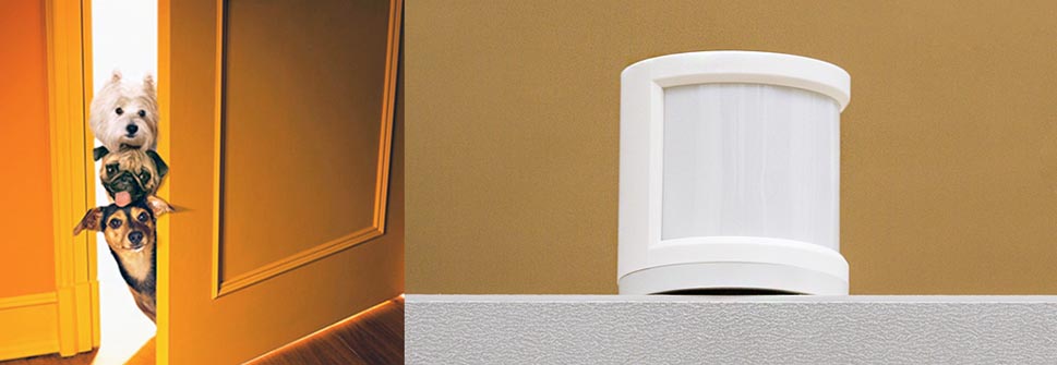 контроль за животными с помощью датчика